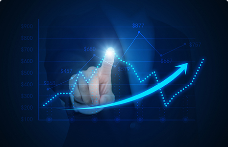 完善制度，规范流程，严格履行信息披露义务