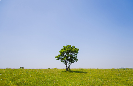完善制度，规范流程，严格履行信息披露义务