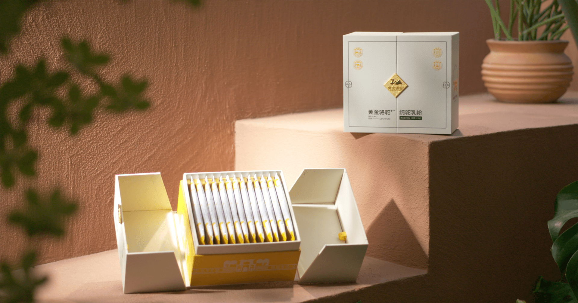 定位小众高端乳粉，pa视讯推出驼奶品牌“黄金骆驼+”，角逐乳品新市场！